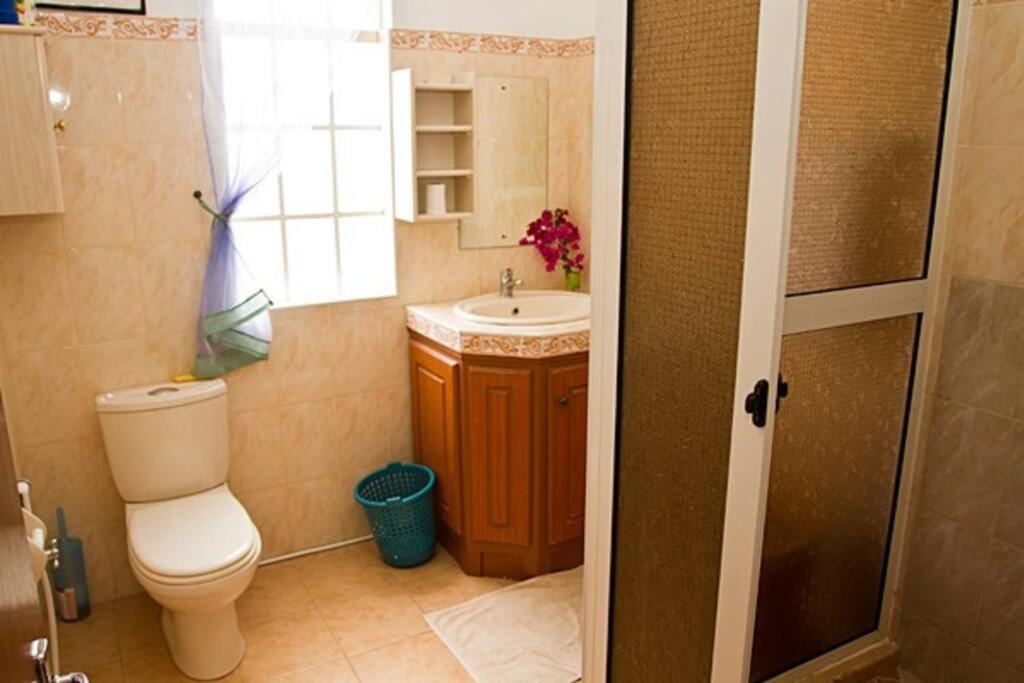 Villa Palmistes Apartment La Gaulette Ngoại thất bức ảnh